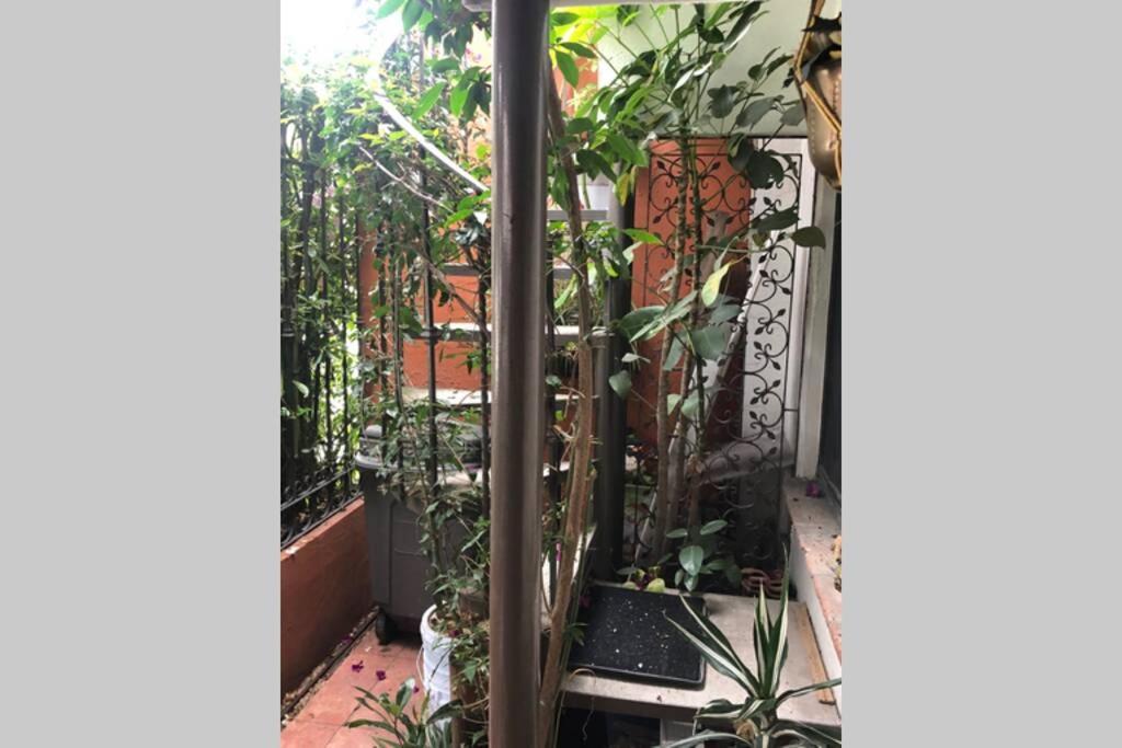 Amplia Habitacion Tipo Ejecutiva Con Bano Y Acceso Privados 托卢卡 外观 照片
