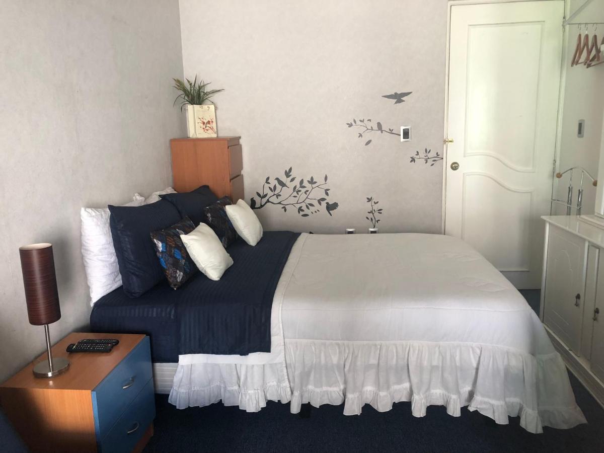 Amplia Habitacion Tipo Ejecutiva Con Bano Y Acceso Privados 托卢卡 外观 照片
